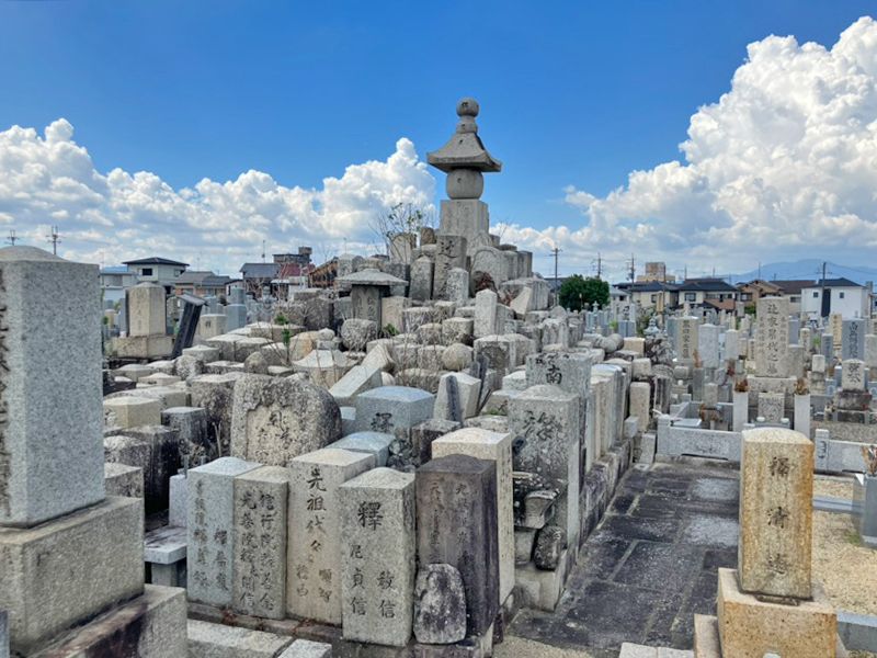野の花墓地