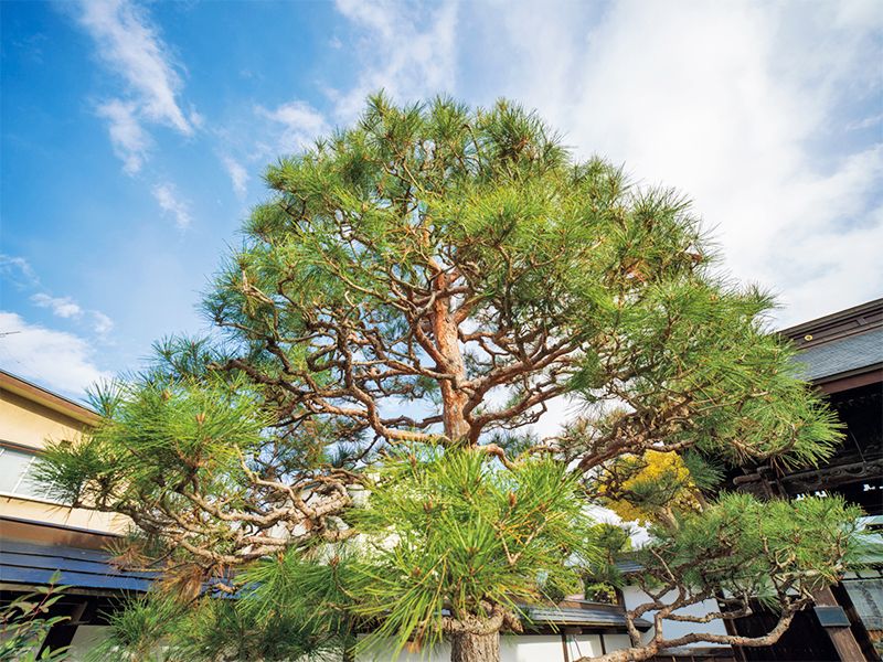 山形浄園 明善寺