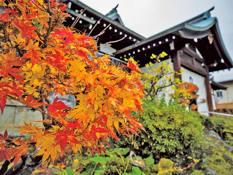 山形浄園 明善寺