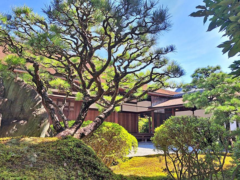 臨済宗大本山大徳寺塔頭 興臨院