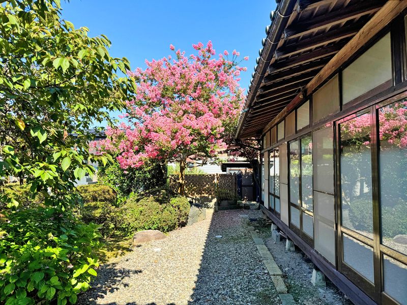 善行寺 のうこつぼ