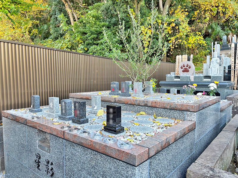 本長寺 樹木葬 星影～ほしかげ～