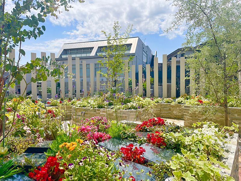 新宿区 樹木葬「瑠璃の光」