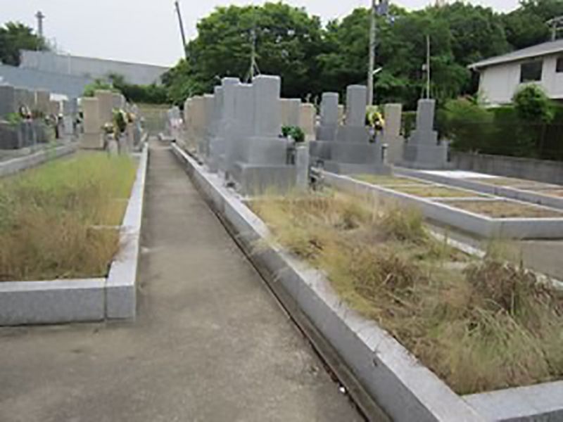 常磐墓地　フラットな参道