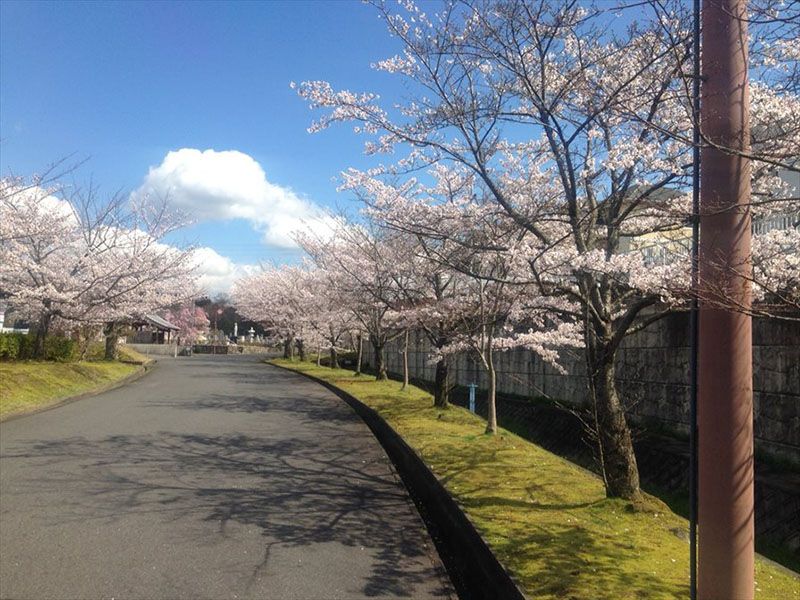 公益財団法人 瀬田南大萱霊園