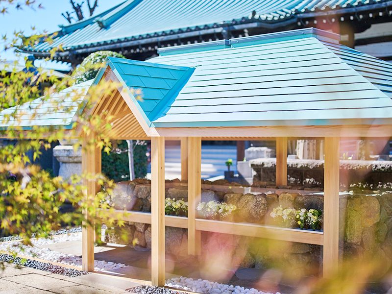 妙行寺 巣鴨霊園 陽の葉や