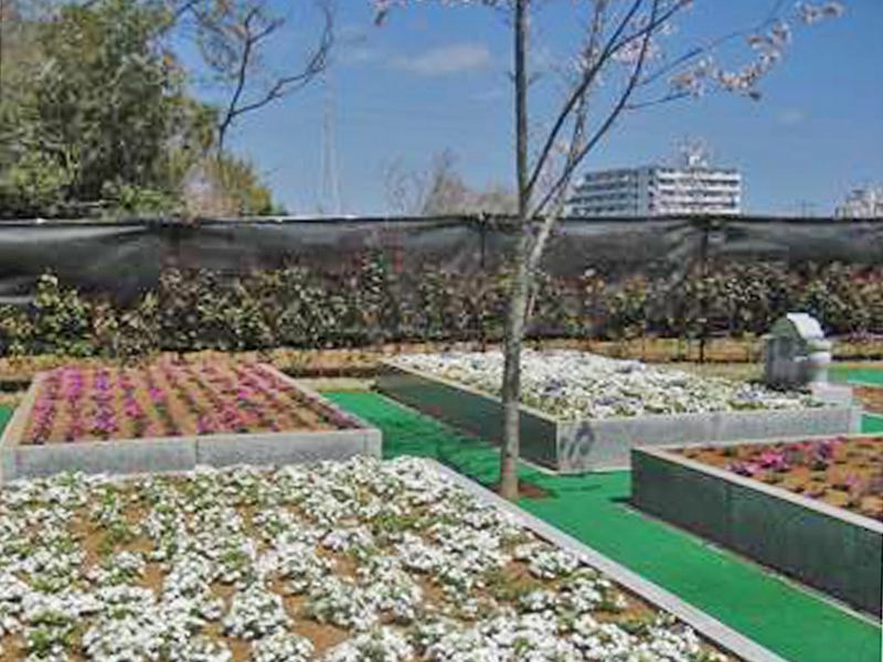専修寺 関東別院 千葉分院