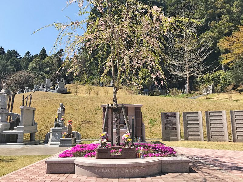 安養寺