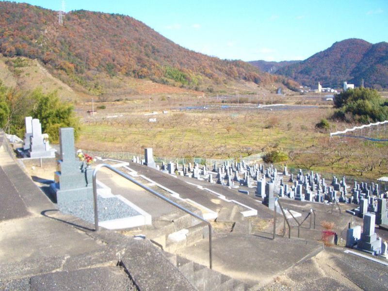 洞霊苑