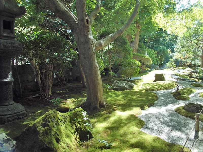 報国寺