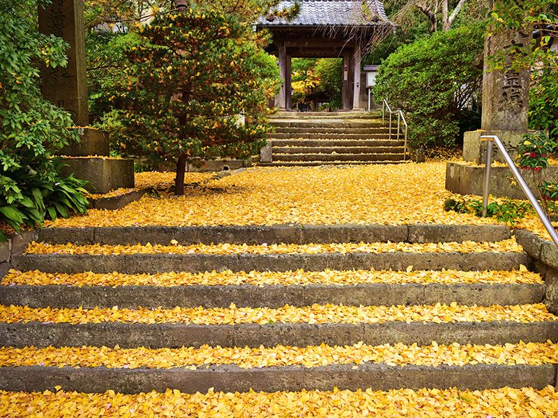 四季ごとの彩りが楽しめます