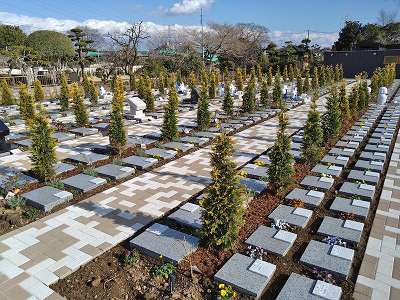 野田ほたるローズガーデン