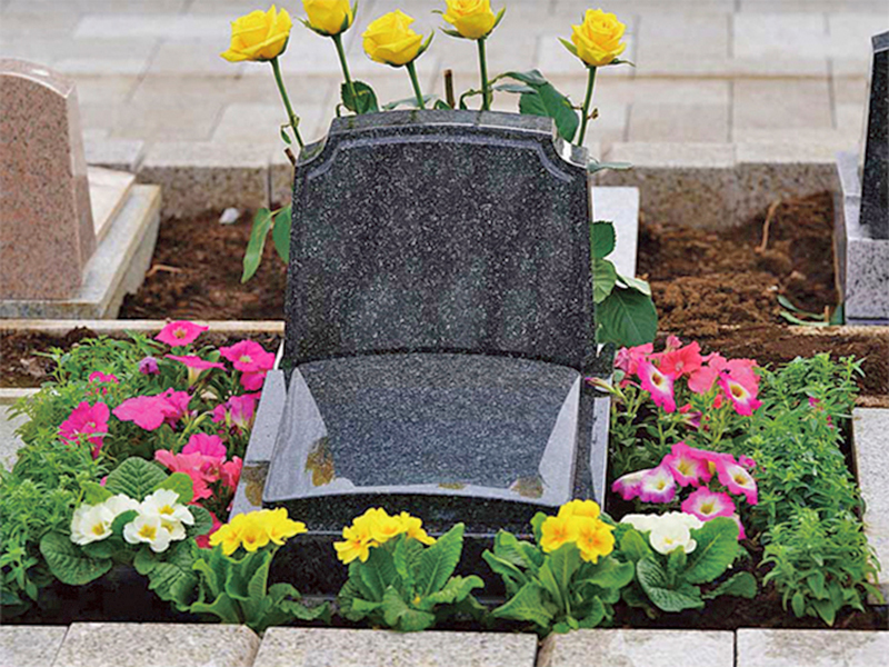 野田ほたるローズガーデン