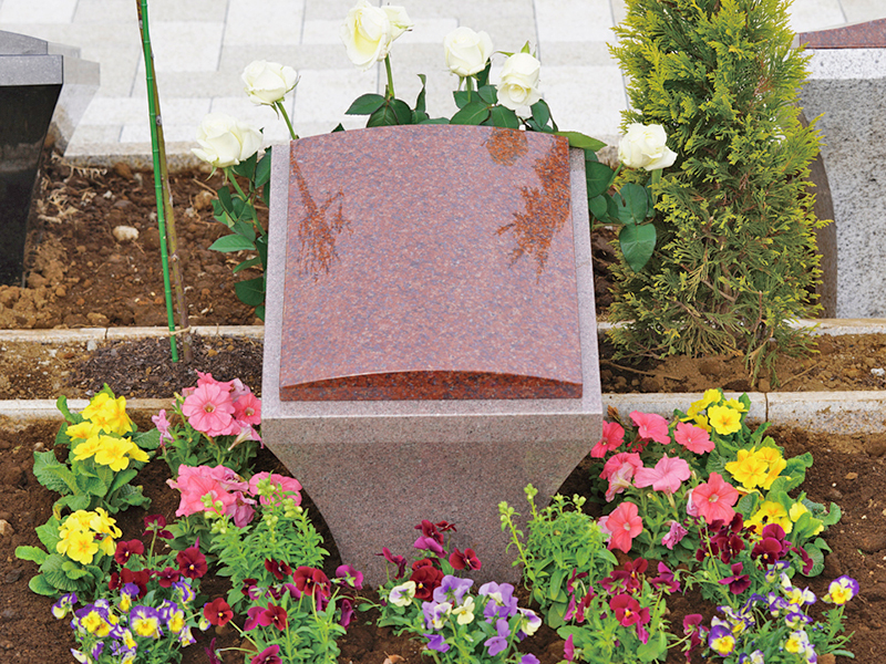 野田ほたるローズガーデン