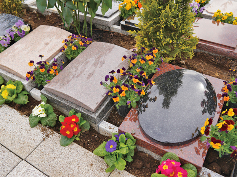 野田ほたるローズガーデン