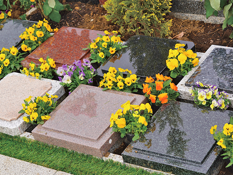 野田ほたるローズガーデン