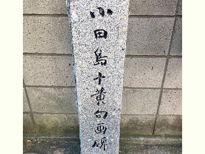 プレミアム本駒込皓映樹木葬墓地