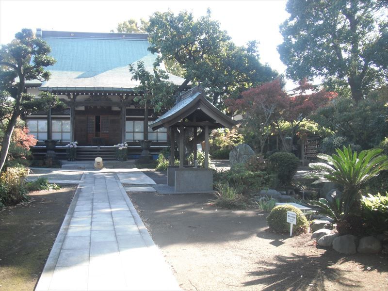 常在寺　本堂前の豊かな植栽