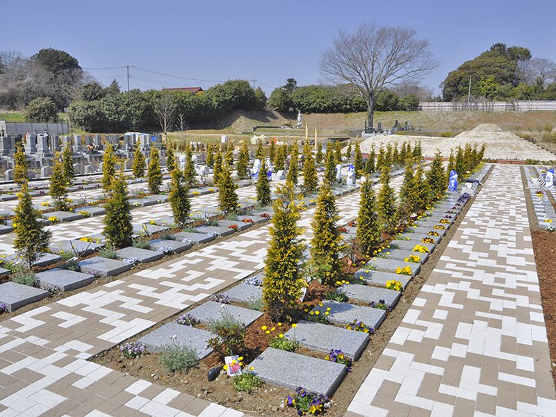 野田ほたるローズガーデン