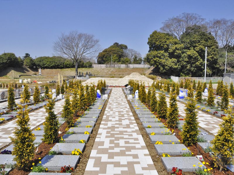 野田ほたるローズガーデン