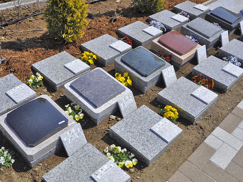 野田ほたるローズガーデン