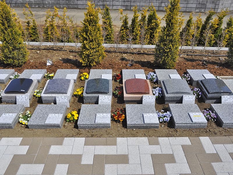 野田ほたるローズガーデン