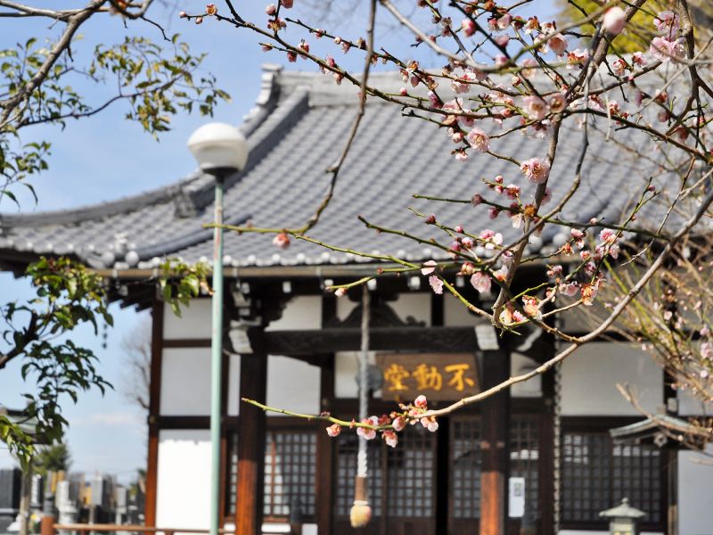 西藏院（西蔵院）