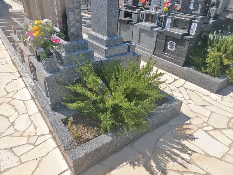 己斐城山メモリアルヒルズ