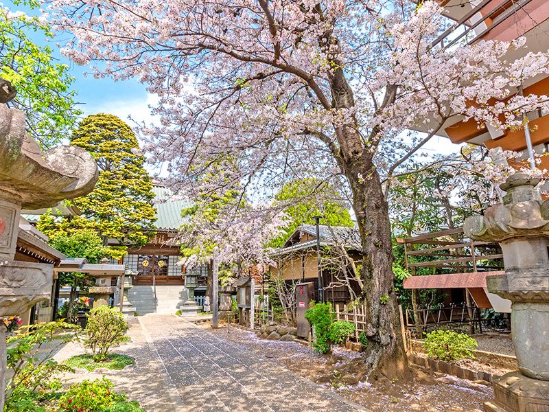徳蔵寺