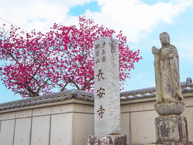 長安寺