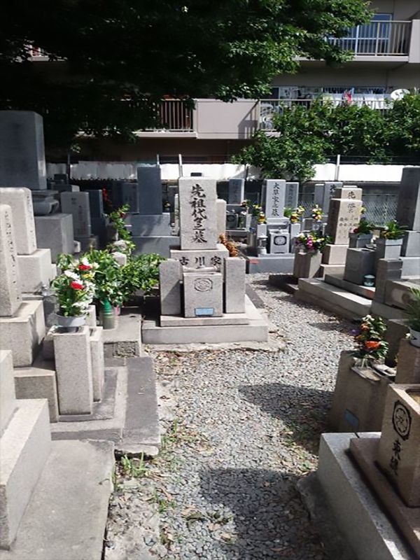 中茶屋明神墓地　日の当たる墓地内