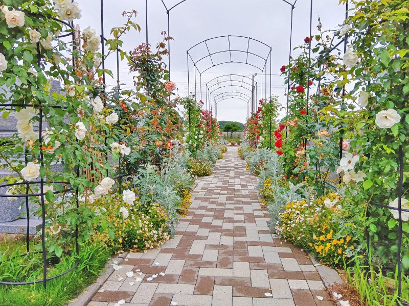 野田ほたるローズガーデン