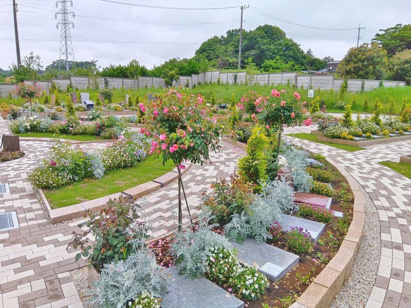 野田ほたるローズガーデン