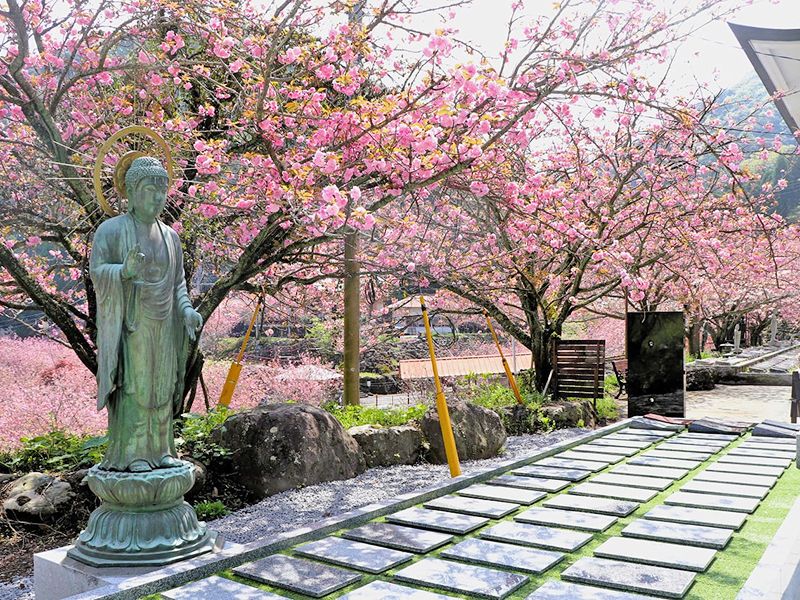 一心寺 樹木葬「夢さくら」