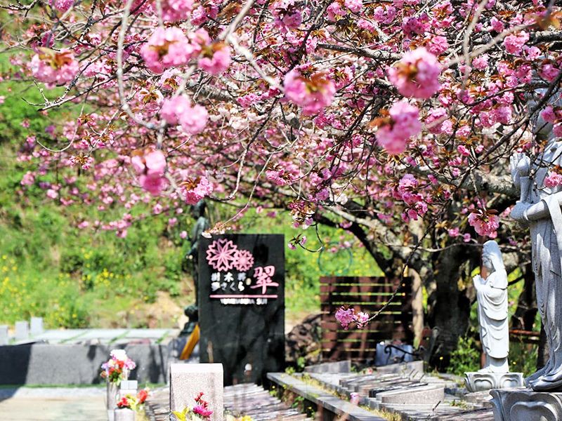 一心寺 樹木葬「夢さくら」