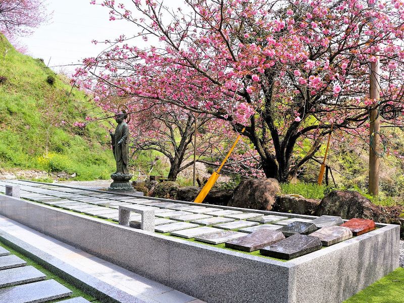 一心寺 樹木葬「夢さくら」