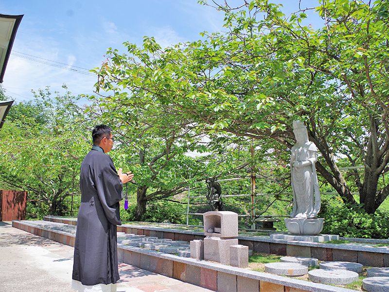 一心寺 樹木葬「夢さくら」