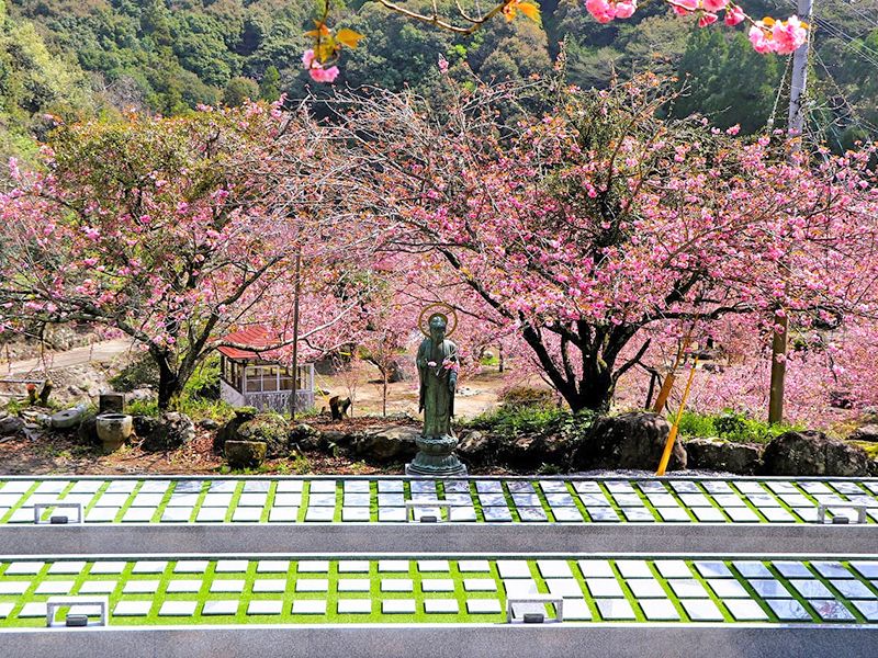 一心寺 樹木葬「夢さくら」