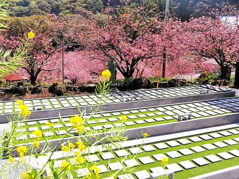 一心寺 樹木葬「夢さくら」
