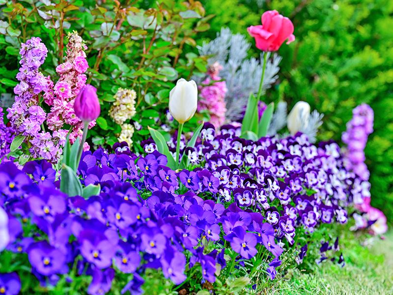 浅草桃林寺 樹木葬『禅-ZEN』