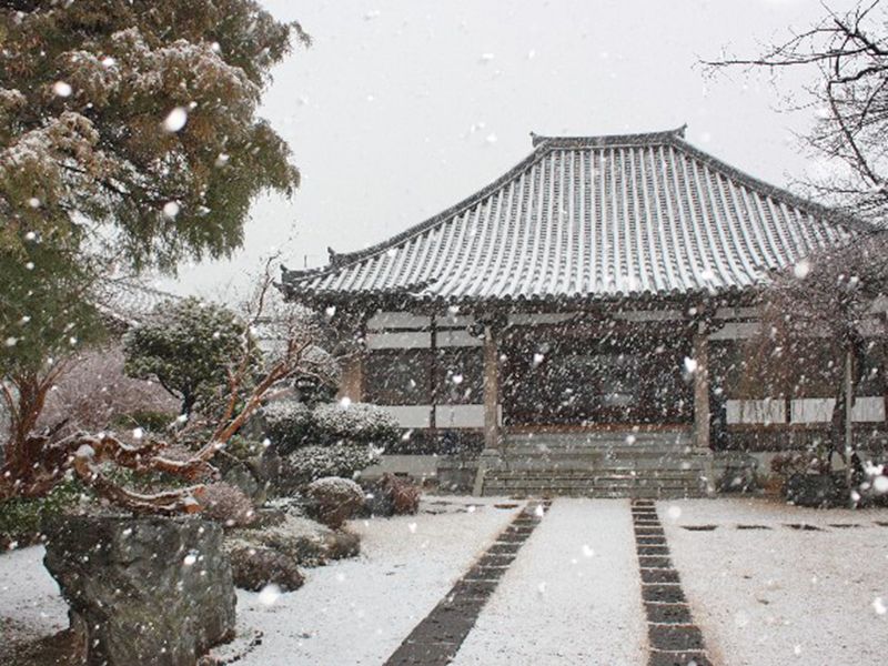 実正寺 樹木葬「光照樹園」