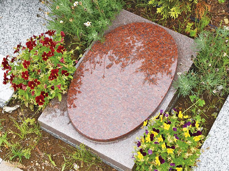 野田ほたるローズガーデン