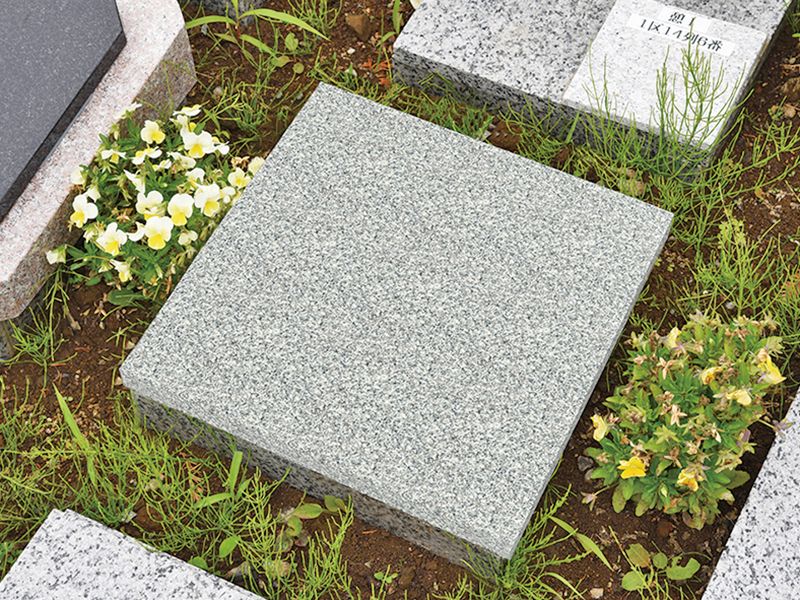 野田ほたるローズガーデン