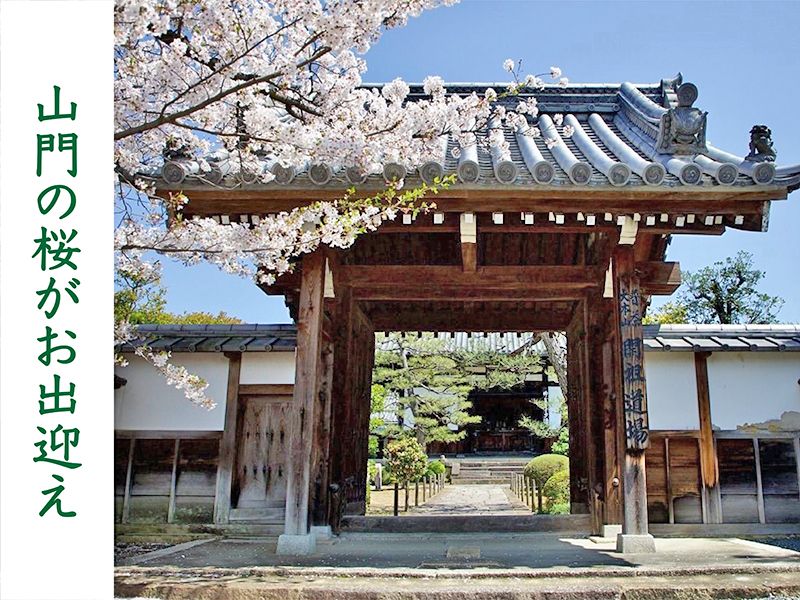 伏見桃山の森・海宝寺樹木葬