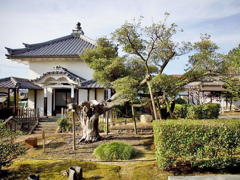 伏見桃山の森・海宝寺樹木葬