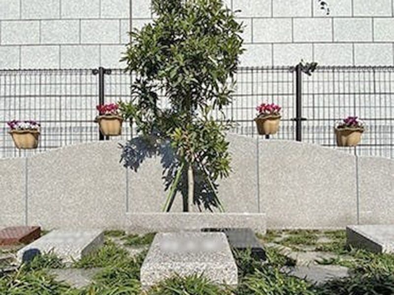 樹木葬「Komorebi」個別の区画に１霊～３霊納骨できます