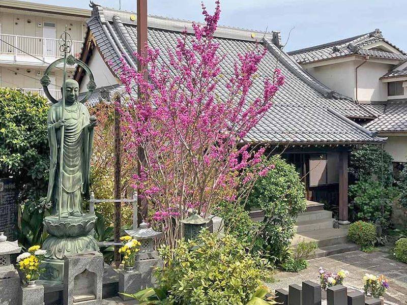 樹木葬「わごころ」 白金こもれびの杜