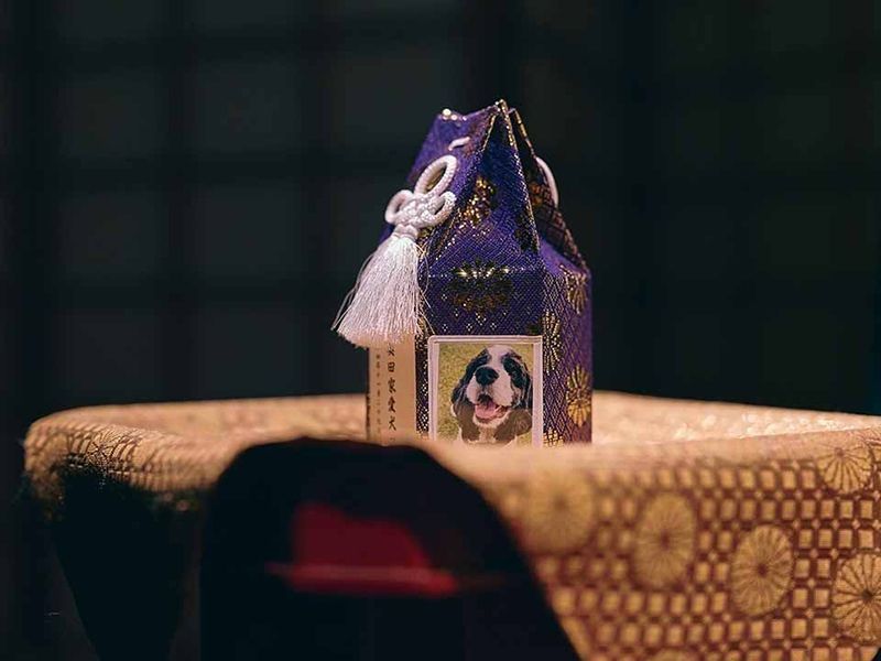 大切な家族であるペットちゃんも丁寧なご供養をいたします