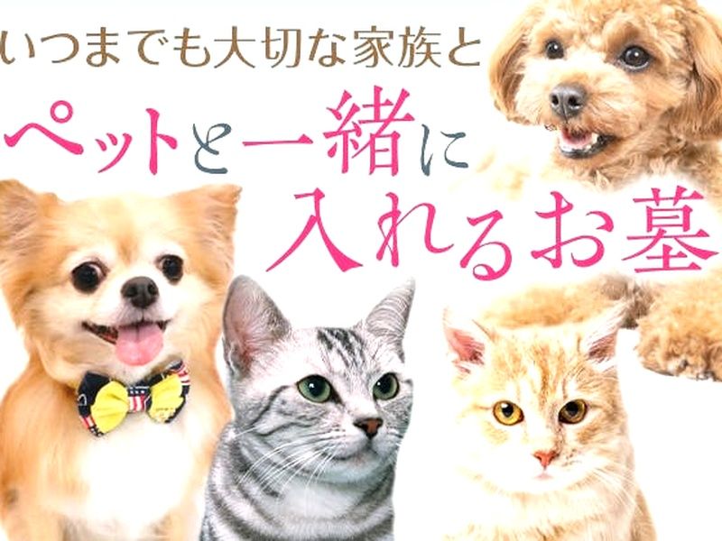 麻布十番 ゆめみどう