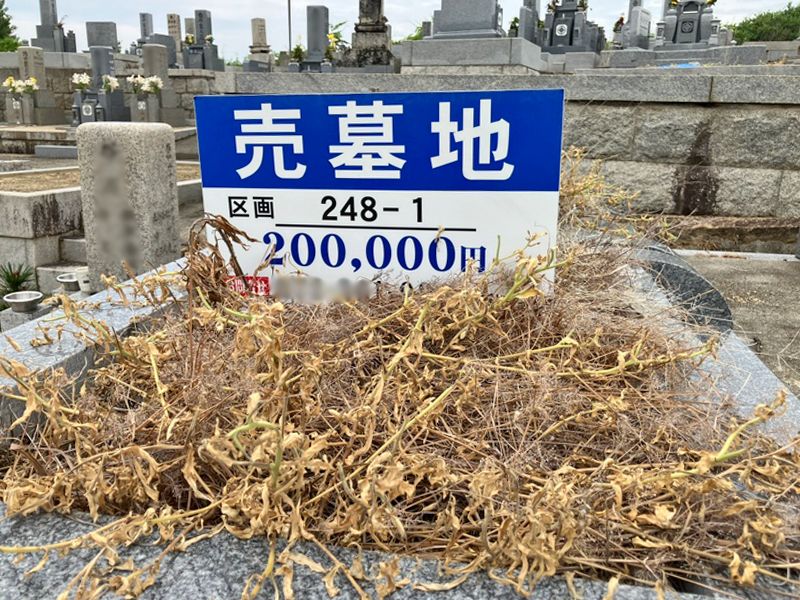 多治井墓地